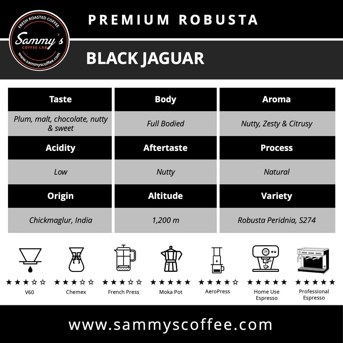 Black Jaguar | Premium Robusta - Sammy's Coffee 